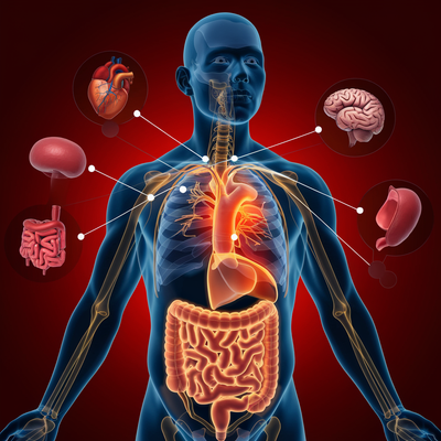 L’inflammation chronique : comprendre son importance dans notre santé moderne