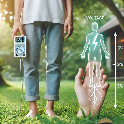 Électrosmog : Comment éviter de sombrer dans la peur des ondes ? - chargeurterre